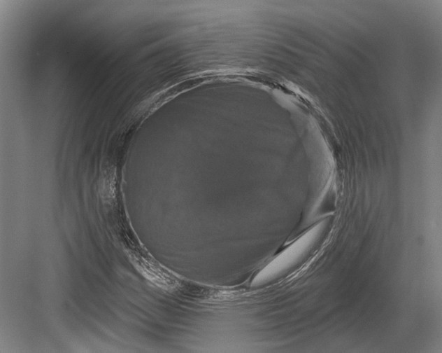 X0000082681161200702161651