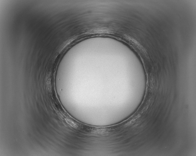 X0000082681162200702161651