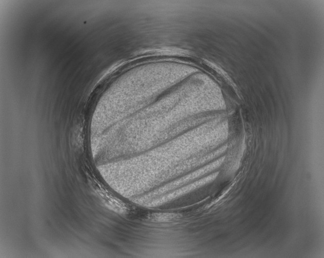 X0000082681163200702161651