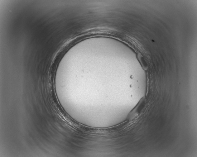 X0000082681164200702161651