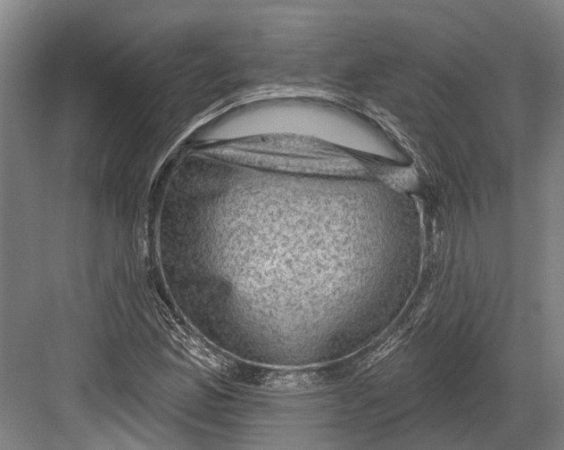 X0000082681165200702161650