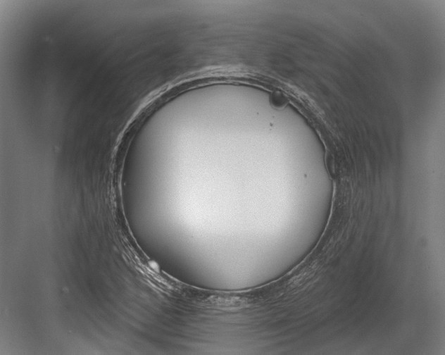 X0000082681168200702161650