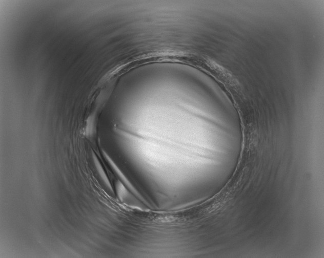 X0000082681169200702161650