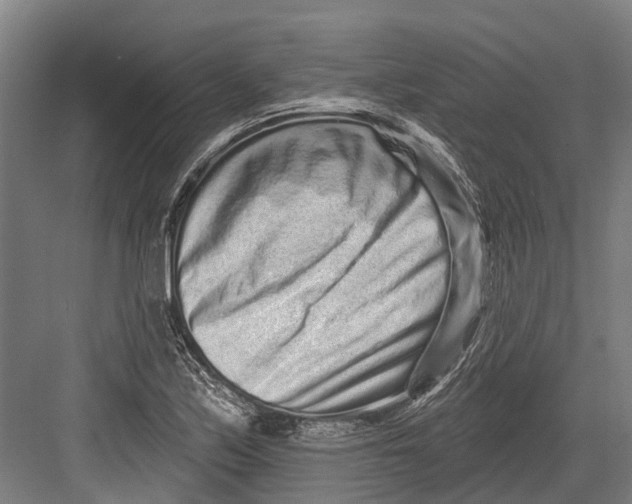 X0000082681171200702161650