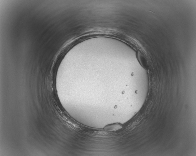 X0000082681172200702161650