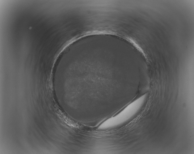 X0000082681173200702161650