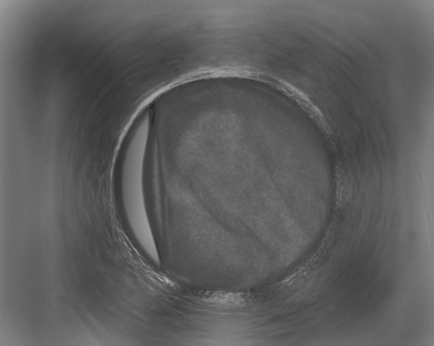 X0000082681174200702161650