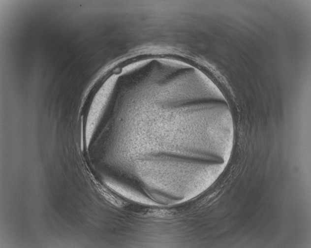 X0000082681175200702161650