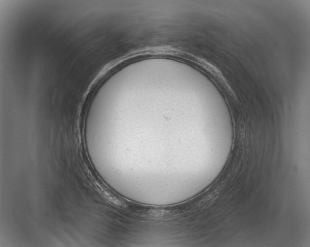 X0000082681176200702161650