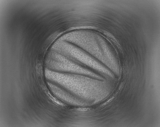 X0000082681177200702161650