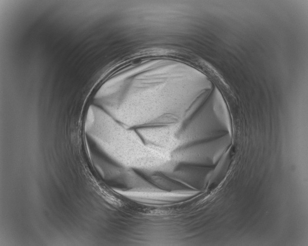 X0000082681178200702161650