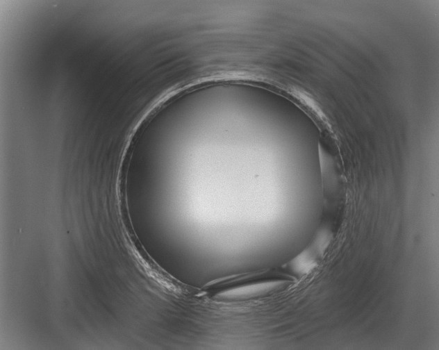 X0000082681181200702161650