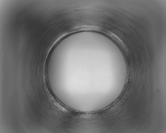 X0000082681182200702161650