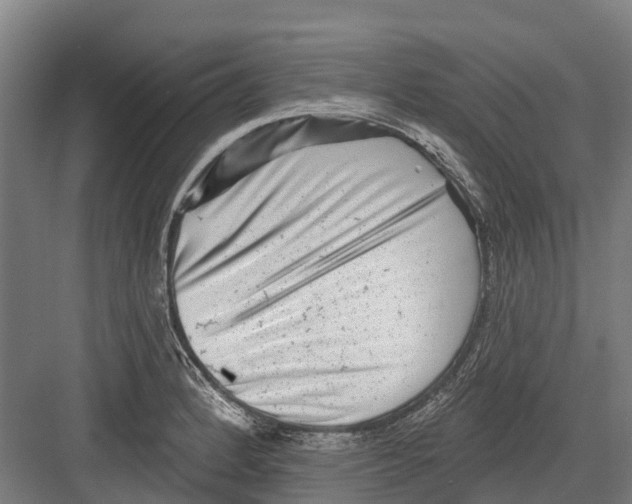 X0000082681184200702161650