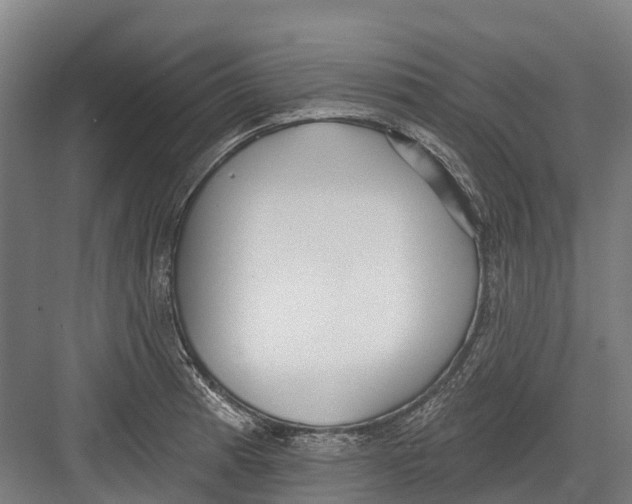 X0000082681185200702161650