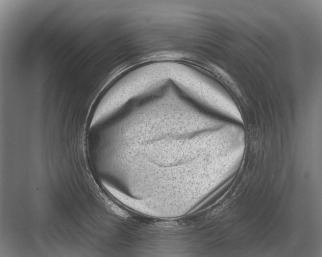 X0000082681186200702161650