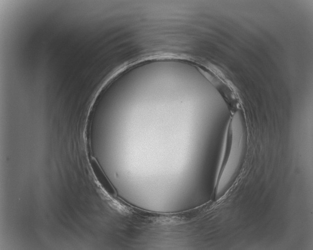 X0000082681189200702161650