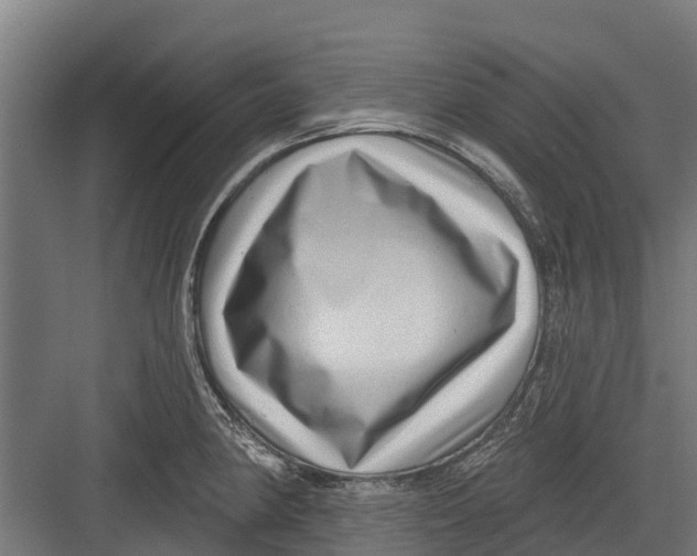 X0000082681190200702161650