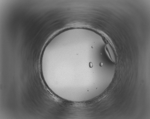 X0000082681191200702161650