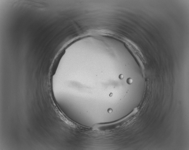 X0000082681192200702161650