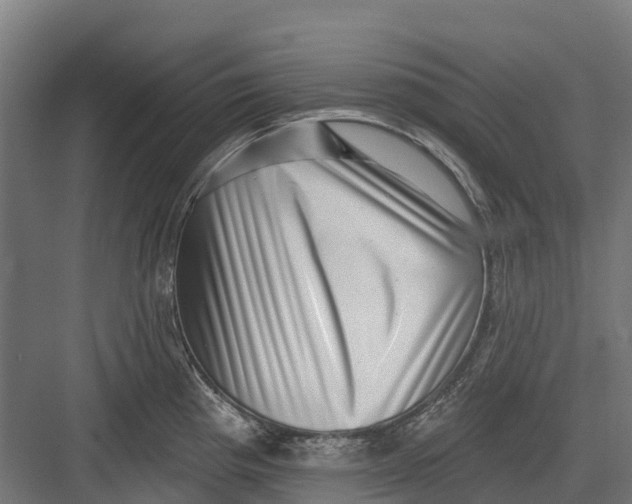 X0000082681193200702161650