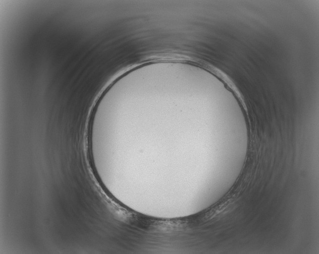 X0000082681195200702161650