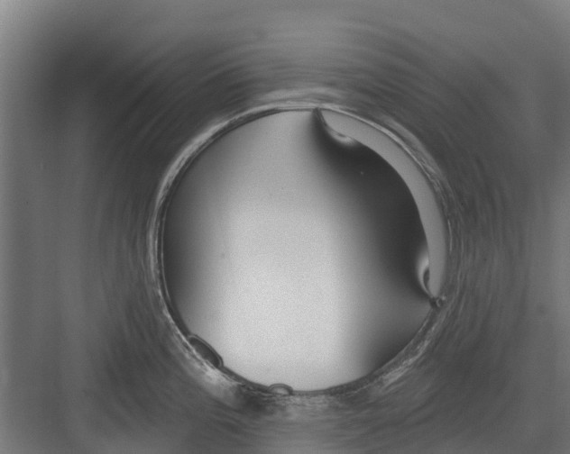 X0000082681196200702161650