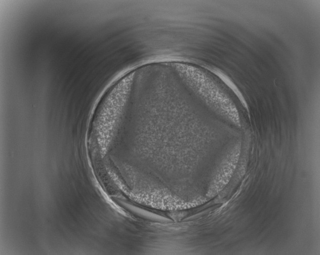 X0000082681197200702161650