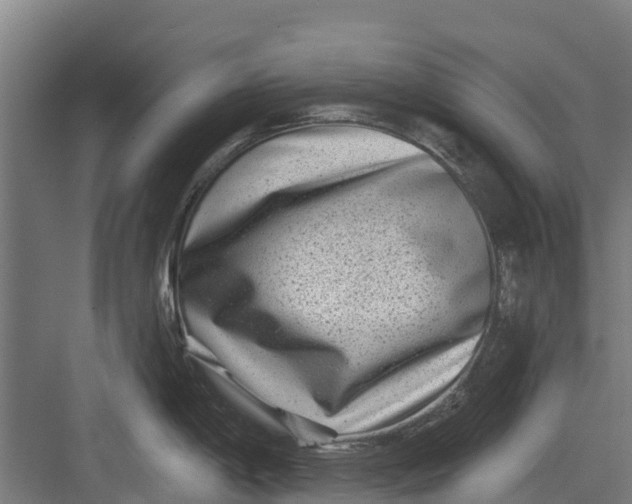 X0000082681198200702161650