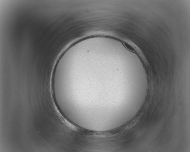 X0000082681199200702161650