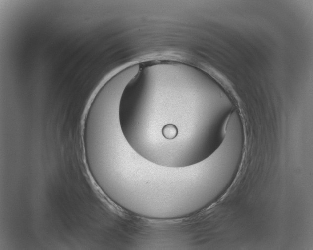 X0000082681200200702161650