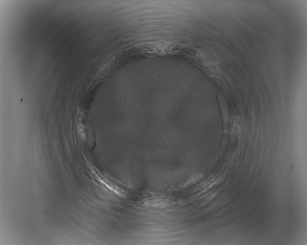 X0000082681202200702161649