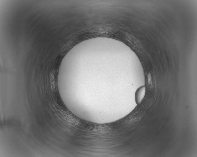 X0000082681203200702161649