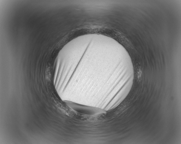 X0000082681204200702161649