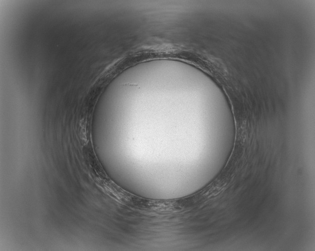 X0000082681205200702161649