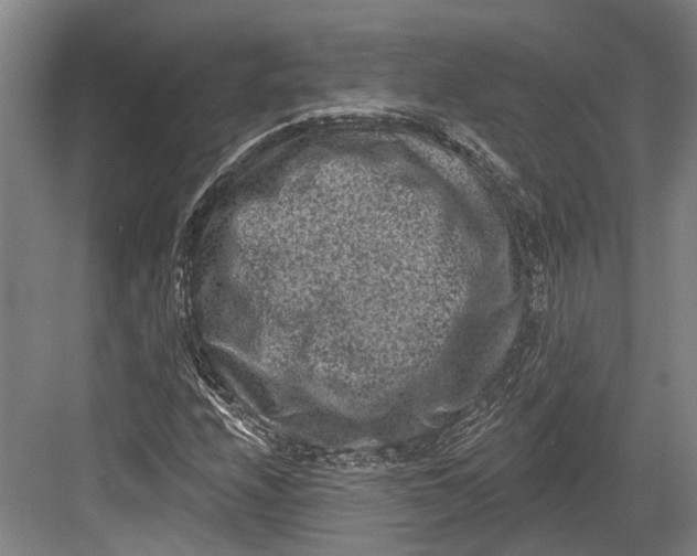 X0000082681208200702161649