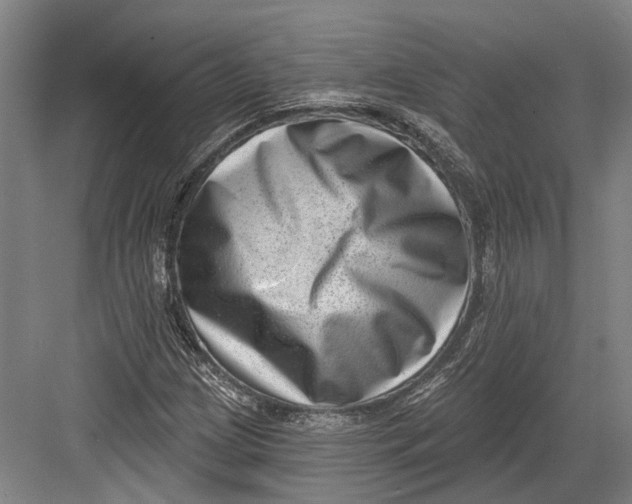 X0000082681209200702161649