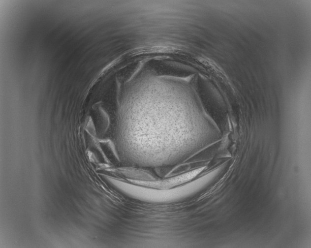 X0000082681210200702161649