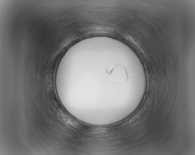 X0000082681211200702161649