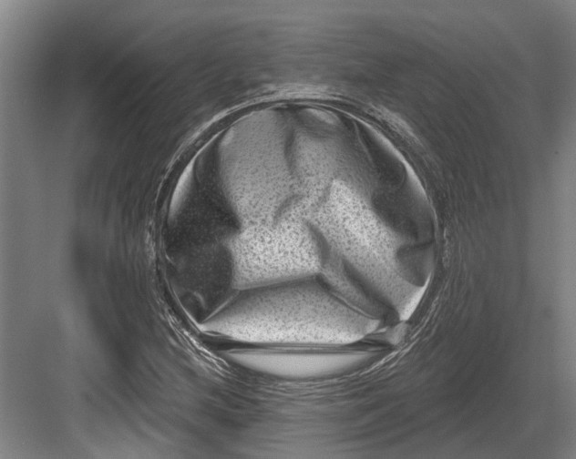 X0000082681212200702161649