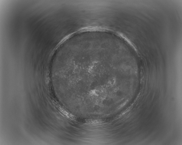 X0000082681213200702161649