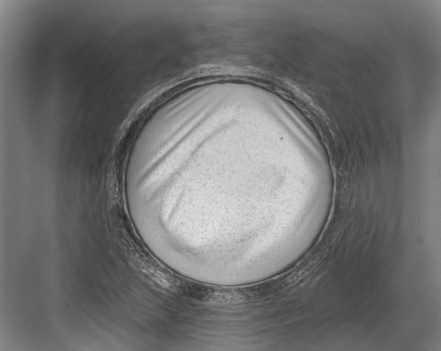 X0000082681215200702161649