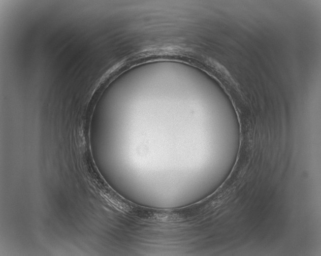 X0000082681218200702161649