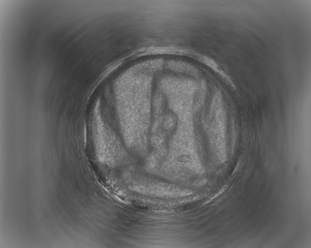 X0000082681221200702161649