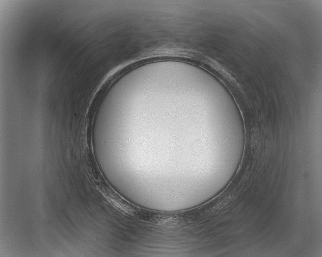 X0000082681222200702161649