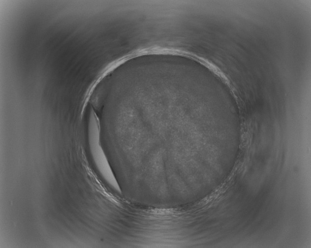 X0000082681223200702161649