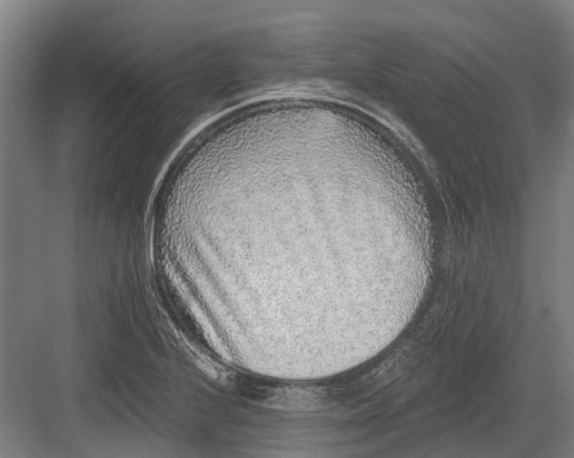 X0000082681224200702161649