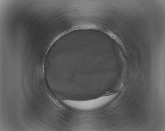 X0000082681226200702161650