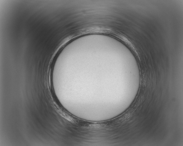 X0000082681227200702161650