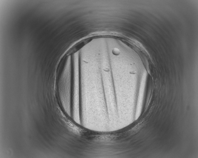 X0000082681228200702161650